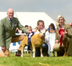 New Board appointed to Livestock and Meat Commission
