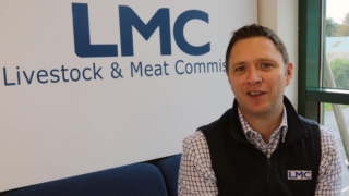 LMC carbon surveys: Research and development phase continues