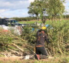 All-Ireland Hedge Laying Championships set for Down this weekend