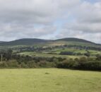 Tánaiste launches new Shared Island Project for rural communities