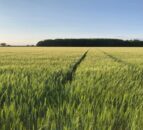 Tenant farm saved as Old Malton solar proposal rejected