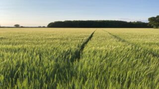 Tenant farm saved as Old Malton solar proposal rejected