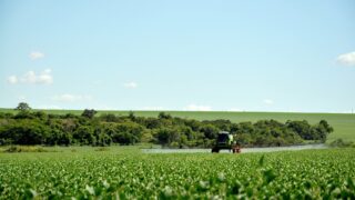 OECD: $851bn government support for agriculture during pandemic