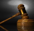 Court: Armagh company convicted on animal transport charge
