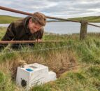 Traps to catch ferrets placed on Rathlin Island