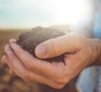 World Food Forum 2023 highlights soil degradation and health