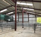 Dairy advice: Time to get your calf shed in order