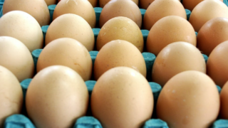 DAERA welcomes UK egg consultation launch