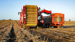 Potato harvest 2023 – the struggle continues