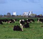 Fonterra aims for 30% on-farm emissions cut by 2030