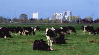 Fonterra aims for 30% on-farm emissions cut by 2030