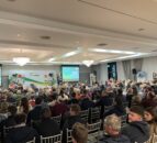 Irish/UK beef price differential explained at beef conference