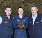 NI dairy farmers have sufficient silage for winter