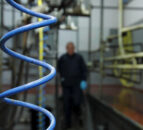 Drying-off: Selecting the correct dates for cows