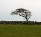 Met Éireann issues Status Orange wind warning for 16 counties