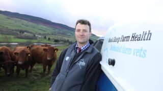 Bluetongue hotline launched for farmers and NFU