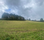 Study: Distinct targets needed for land-based mitigation