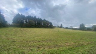 Study: Distinct targets needed for land-based mitigation