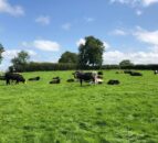 66% of NI consumers believe farmers should get more support