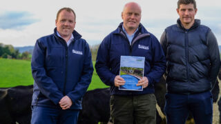 Lakeland Dairies launches Sustainability Incentive Payment