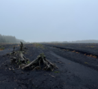 Tyrone bog to be transformed into peatland restoration hub