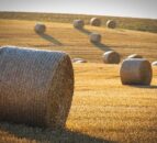 Large baling contractors at risk of HMRC fines due to plastic packaging tax