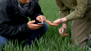 Origin Enterprises revenue drops by 25% due to fertiliser pricing