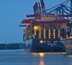 NI vet strike leaving ports and airports at ‘limited capability’