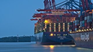 NI vet strike leaving ports and airports at ‘limited capability’