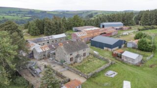 Roger Parry & Partners brings 235ac Llangollen livestock farm to market