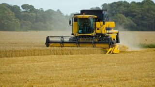 Opinion: Growing crops is a world of opportunity for Irish farmers
