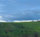 Nottinghamshire farm suffers 'thousands of pounds of damage' to crops from quads