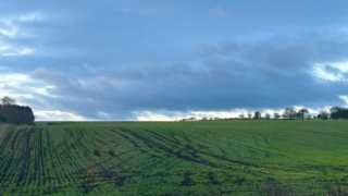 Nottinghamshire farm suffers ‘thousands of pounds of damage’ to crops from quads