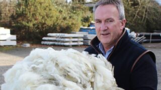 Antrim sheep farmer seeks re-nomination to British Wool board