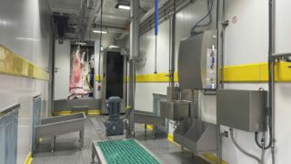 £4m fund rolled out to back ‘smaller abattoirs’ in England