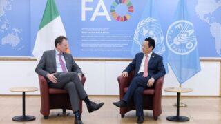 FAO at COP28: ‘We have to produce more with less’