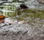 Nationwide weather warnings in place for heavy rainfall