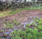 UFU: 2023 was a ‘turbulent year’ for farmers