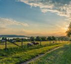 Sell land before the General Election to avoid impact of tax changes