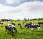 Canadian gov announces methane reduction incentive
