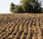 Has the potential of soils to sequester carbon been overestimated?