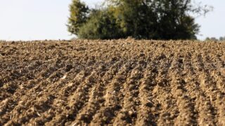 Has the potential of soils to sequester carbon been overestimated?