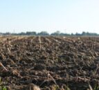Zone 1 farmers in NI soil health scheme to receive full reports next week