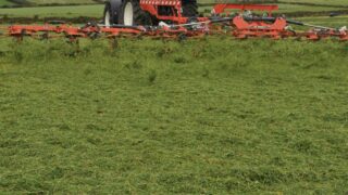 Ecosyl shares tips for improving grass silage in 2024