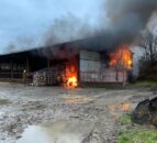 Cattle saved as 20 firefighters called to Ceredigion barn fire