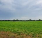 Online system for NAP derogation 2024 opens for applications