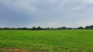 Online system for NAP derogation 2024 opens for applications