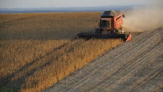 Brazilian agricultural exports hit record $166.5bn in 2023