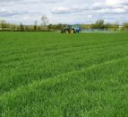 Changes to long-term crop study protocols at Rothamsted