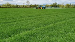 Changes to long-term crop study protocols at Rothamsted